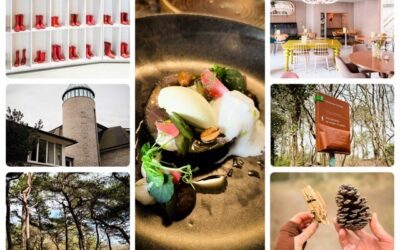 Hotel Blooming in Bergen review: luxe overnachten in de natuur
