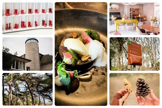 Hotel Blooming in Bergen