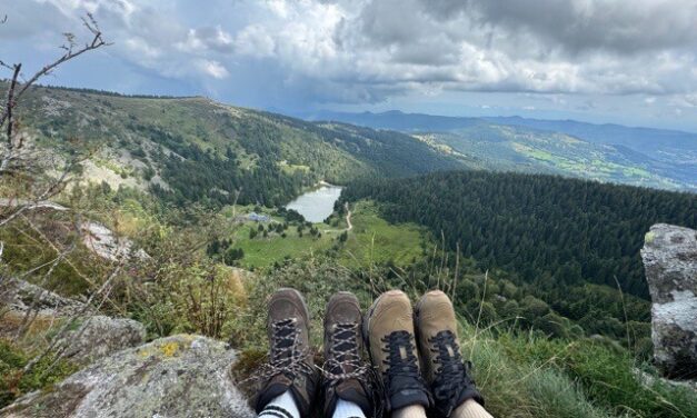 Wandelschoenen kiezen? Zo maak je de juiste keuze
